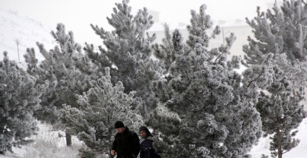 Doğu Anadolu’da soğuk hava: Göle - 17