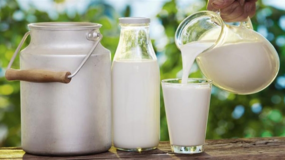 Süt ihtiyacımız olan vitamin ve minerali almamızı sağlıyor